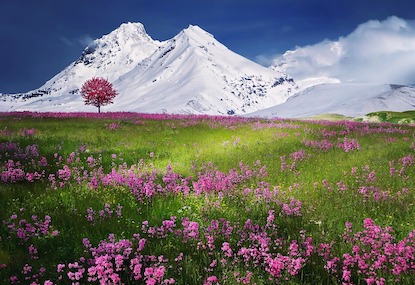 montagne